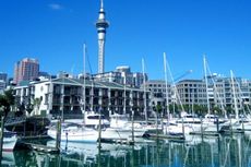 Pemerintah Sepakati Kerja Sama Dagang dengan Auckland Senilai 5,4 Juta Dolar AS