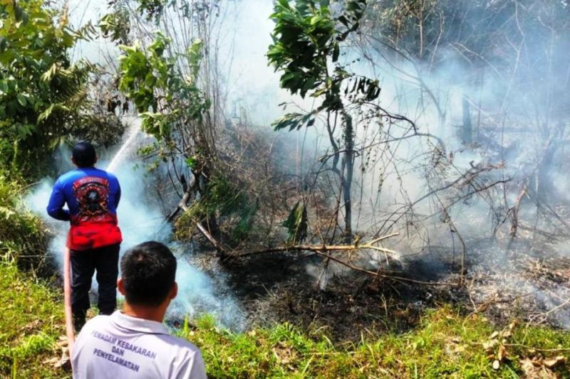 Titik Panas di Kalimantan Timur Berkurang Separuh dalam Sehari, Tinggal 76 Buah