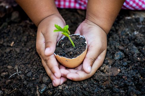 Ajarkan Anak Mencintai Kehidupan dan Peduli pada Bumi