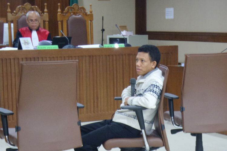 Auditor BPK Choirul Anam bersaksi di Pengadilan Tipikor Jakarta, Senin (27/11/2017).