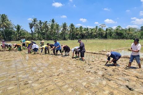 Hadapi Ancaman Pangan, Kementan Gencarkan Irpom demi Pastikan Keberlanjutan Pangan Aman