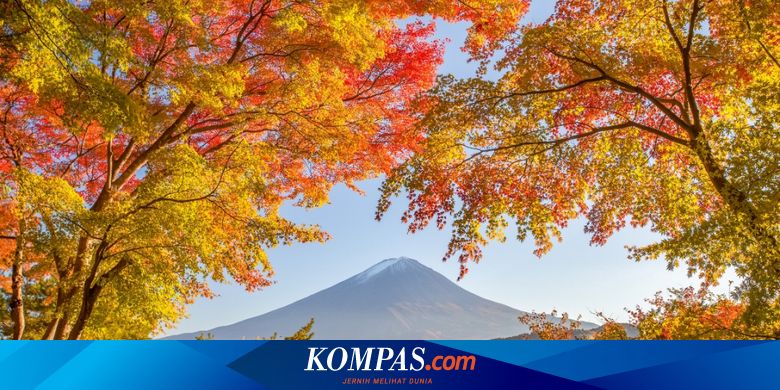 Liburan Musim Gugur di Jepang, Ini Jadwal Perubahan Warna Daun