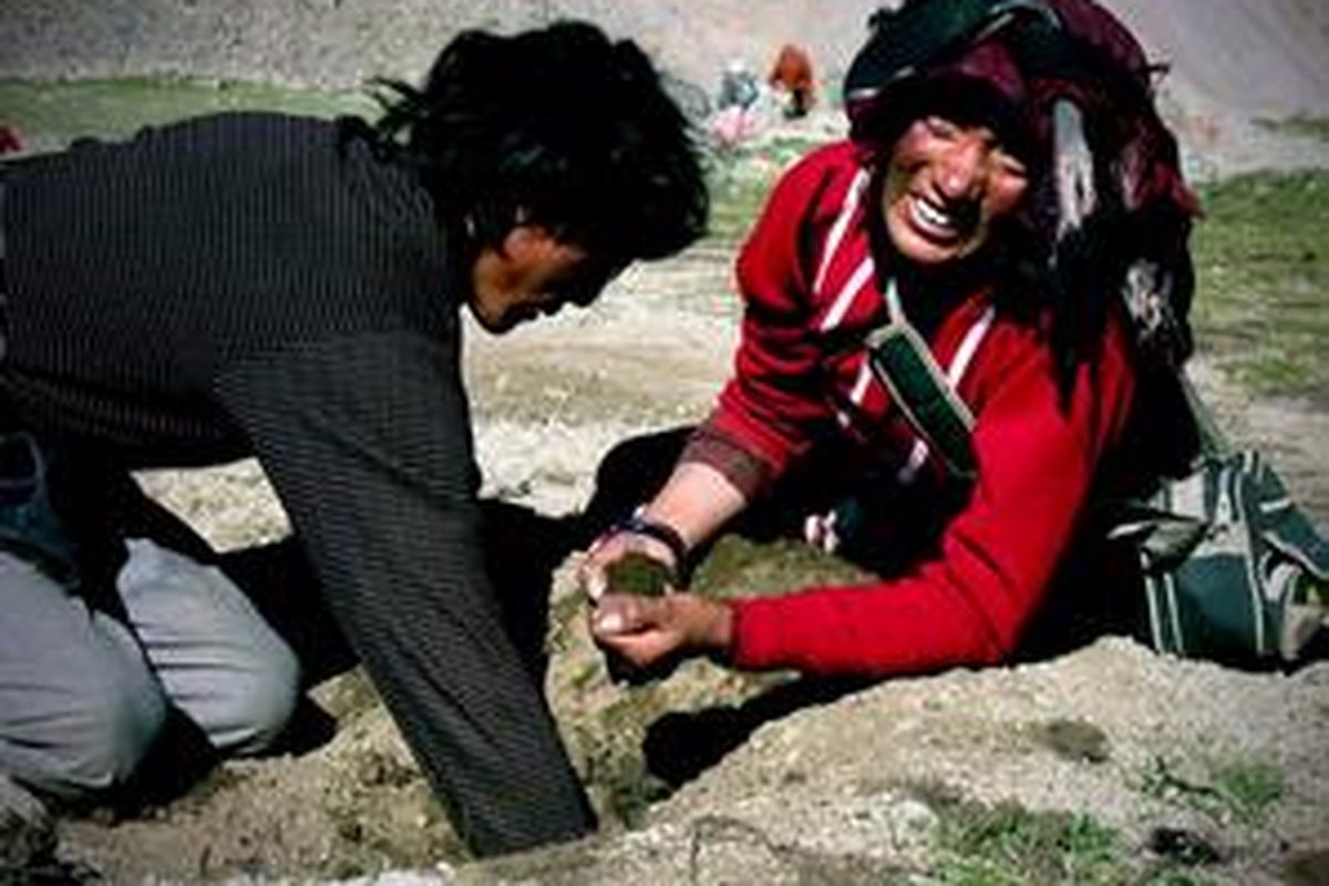 Meninggalkan rambut ayah bunda di Shiwa Tal