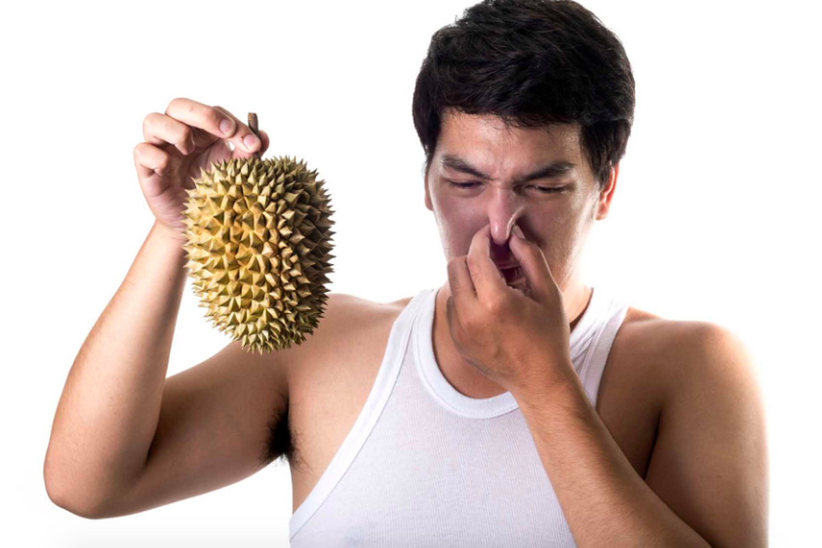Bau menyengat durian