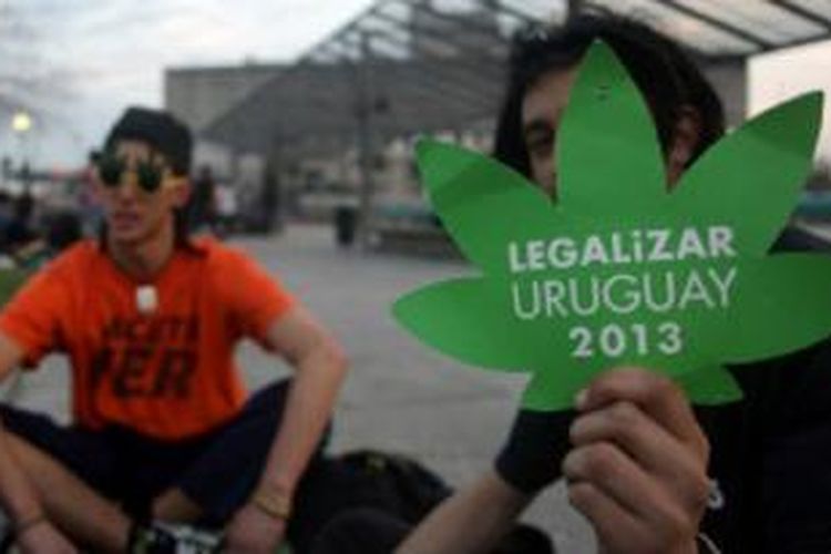 Legalisasi mariyuana di Uruguay dan Amerika Latin masih jadi perdebatan.