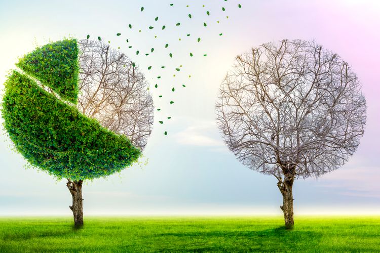 Ilustrasi perubahan iklim.