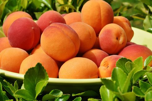 Manfaat Buah Peach untuk Kesehatan Pencernaan 