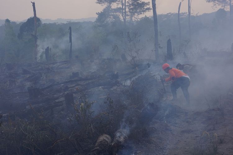 Petugas bersama warga padamkan kebakaran di hutan pinus Sumbermujur, Jumat (27/10/2023)