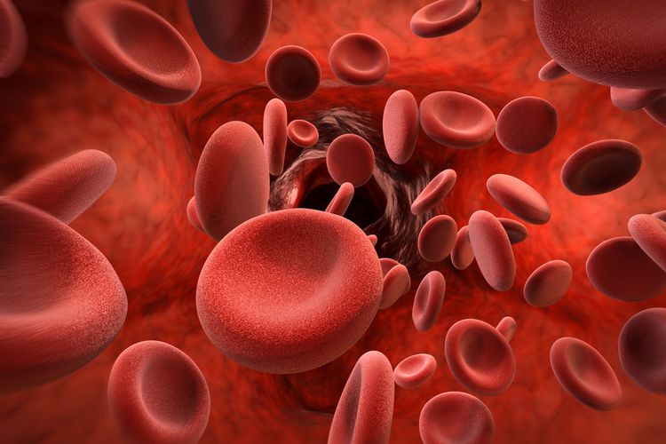 Banyak kemungkinan yang bisa menjadi penyebab Hb rendah, seperti tubuh kurang produksi sel darah merah, sel mati cepat, atau pendarahan internal.