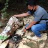 Sepasang Kekasih Pelajar SMP Buang Mayat Bayinya di Hutan, Terungkap Setelah Tercium Bau Busuk