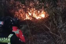 Area Taman Nasional Gunung Ciremai Terbakar, Petugas Masih Berjuang Padamkan Api