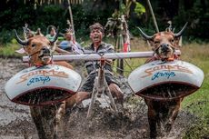50 Besar ADWI 2022, Desa Buwun Sejati Lombok Barat Punya Keragaman Dua Budaya
