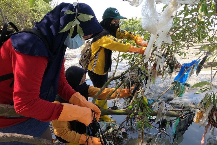 Relawan sungai nusantara membersihkan sampah plastik di hutan mangrove di pesisir Surabaya, Minggu (22/8/2021).