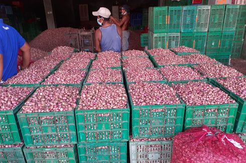 Jelang Panen Raya, Kementan Pastikan Harga Bawang Merah Berangsur Normal