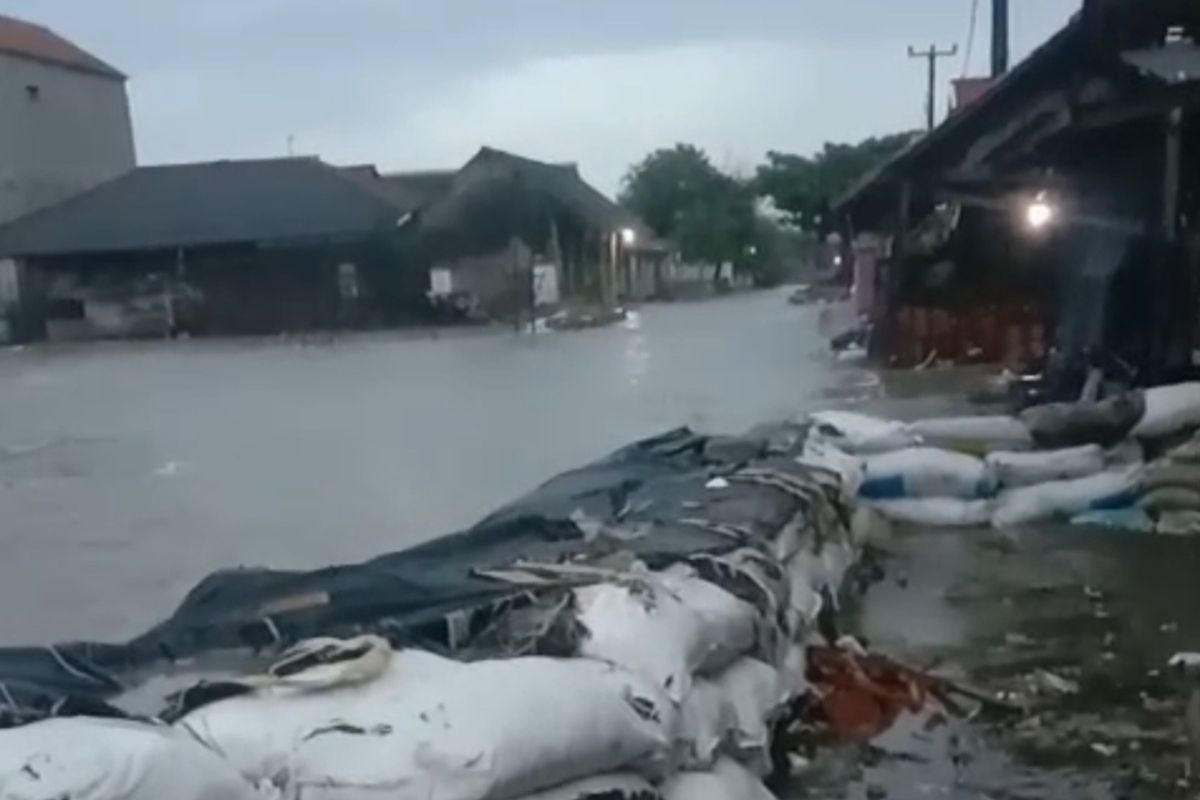 Banjir rob di Desa Cemarajaya, Kecamatan Cibuaya, Karawang, Jawa Barat pada Senin (18/8/2025).