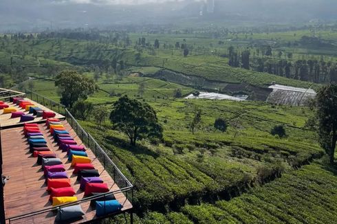 Daftar Harga Penginapan Nimo Highland, Mulai dari Rp 300.000