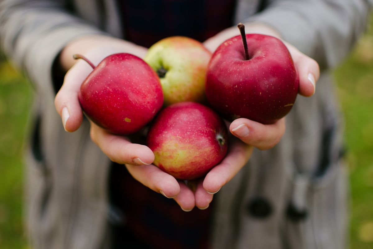 Apel adalah salah satu buah pilihan yang bermanfaat untuk meredakan kadar gula darah tinggi. 