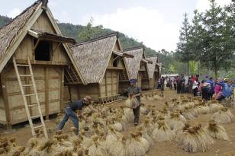 Warga adat Kasepuhan Ciptagelar, Kabupaten Sukabumi, Jawa Barat memasukkan padi ke dalam lumbung (leuit) komunal saat upacara seren taun, Minggu (24/8/2014). Seren taun adalah upacara adat untuk mensyukuri hasil panen padi selama satu tahun. KOMPAS IMAGES/KRISTIANTO PURNOMO