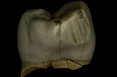Bersihkan Gigi jadi Keseharian Manusia Purba Neanderthal, Ini Buktinya