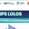 5 Tips Lolos Rekrutmen Bersama BUMN 2023 untuk Lulusan D3, S1, dan S2