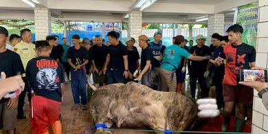 Masjid Istiqlal Bagikan 10.728 Bungkus Daging Kurban, Ada Sapi Presiden
