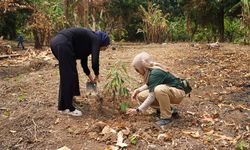 Sedekah Pohon, Dompet Dhuafa Tanam 150 Bibit di Pesantren Banten