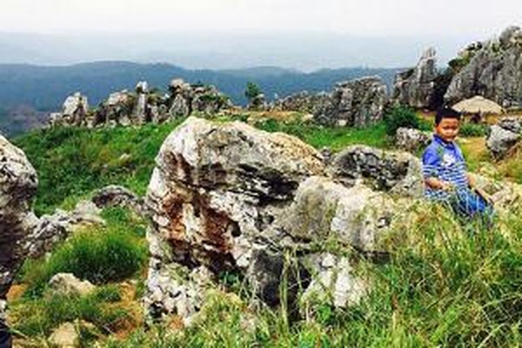 Pemandangan alam di Taman Batu (Stone Garden) yang berlokasi di kawasan Karst Cipatat, Kabupaten Bandung Barat, Jawa Barat, Jumat (15/5/2015). Taman Batu merupakan bukti bahwa dataran tinggi Bandung pada masa puluhan juta tahun lalu merupakan dasar laut dangkal. 
