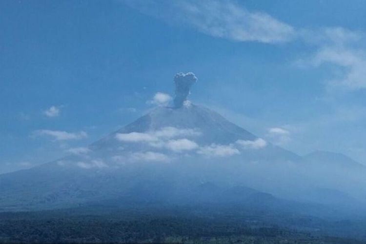 Gunung Semeru Erupsi 10 Kali Hari Ini, Letusan Tertinggi Capai 1,2 Kilometer
