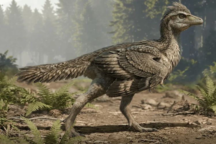 Fosil Dinosaurus Kecil dari China Ungkap Rahasia Evolusi Ekor Burung Teaser
