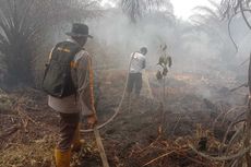 Sudah 3 Hari Tim Gabungan Berjibaku Padamkan Api Karhutla di Dumai, Pembakar Lahan Diburu