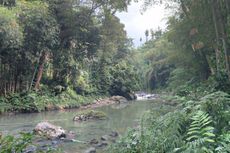 Mengenal Sungai Lokasi Tewasnya 5 Siswa SMP Jakarta Saat Wisata ke Baduy