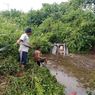 Mobilnya Terperosok ke Parit di Jalan Trans Kalimantan, Kepala Kanwil Kemenag Kaltim Tewas
