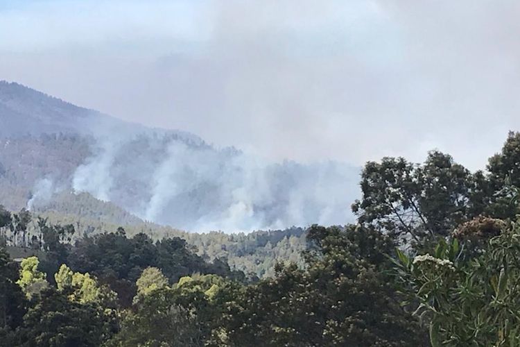 Asap membumbung dari titik kebakaran di Gunung Semeru.