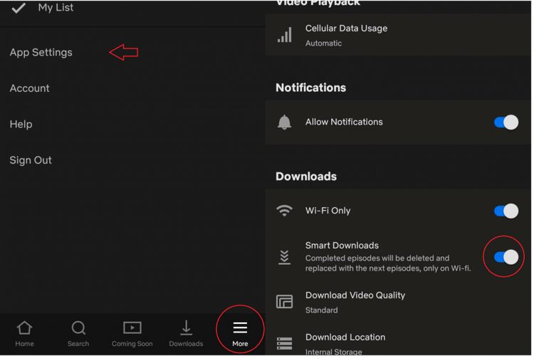 Ilustrasi menu App Settings di Netflix