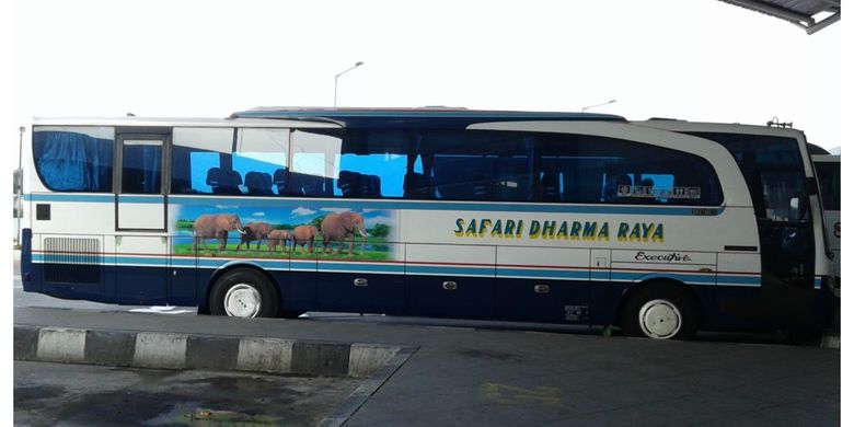 Bus AKAP Safari Dharma Raya