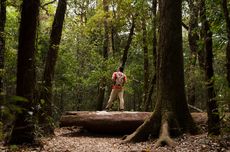 5 Cara Melakukan Forest Bathing, Beda dengan Trekking dan Hiking 