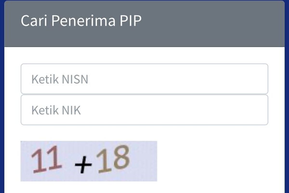 Tangkapan layar hasil cek PIP 2025, cara cek PIP lewat HP, PIP 2025.