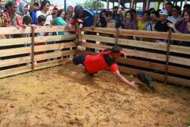 Peserta terlihat berusaha menangkap babi yang dilumuri oli dalam rangkaian Lomba Tangkap Babi yang digelar dalam perhelatan Pekan Gawai Dayak XXXI di Pontianak, Kalimantan Barat, Kamis (26/5/2016). 