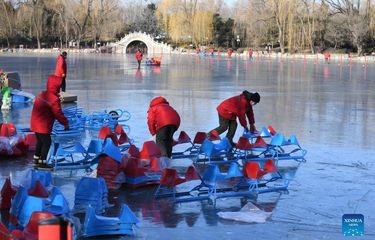 Anggota staf menyiapkan kereta luncur di danau beku di Taman Yuanmingyuan di Beijing, China, (30/12/2021). Istana Musim Panas Lama, atau Yuanmingyuan, mengumumkan pada hari Kamis bahwa mereka akan mengadakan festival es dan salju yang dibuka sekitar hari Tahun Baru pada tahun 2022 dan berlangsung hingga Februari untuk menyambut Olimpiade Musim Dingin Beijing 2022. (Xinhua/Luo Xiaoguang)