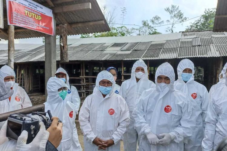 Kunjungan Dirjen ke Kandang Sapi Kelebuh, Lombok Tengah