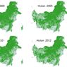 Izin Pinjam Pakai Hutan Paling Banyak Dikeluarkan di Era SBY