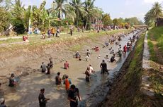 Melihat "Gogoh Kali", Tradisi Tahunan Tangkap Ikan di Saluran Irigasi Purworejo