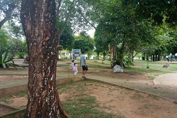 Pohon di Taman Bukit Baru Pangkalpinang, Kepulauan Bangka Belitung yang tumbuh rindang, Minggu (14/1/2024).
