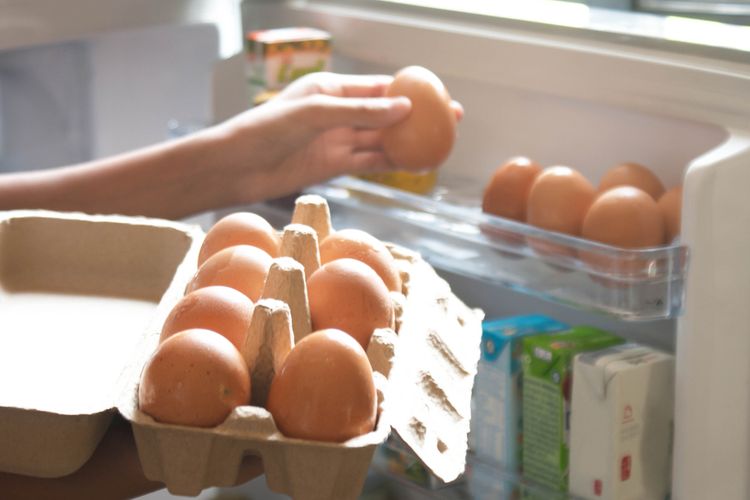 Ilustrasi menyimpan telur di dalam kulkas