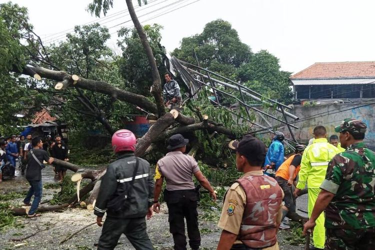 Sejumlah petugas tengah berupaya menyingkirkan batang pohon yang tumbang dan menutup badan jalan di ruas jalan raya Cianjur-Sukabumi, Ciwalen, Warungkondang, Cianjur, Jawa Barat, Selasa (31/12/2019).