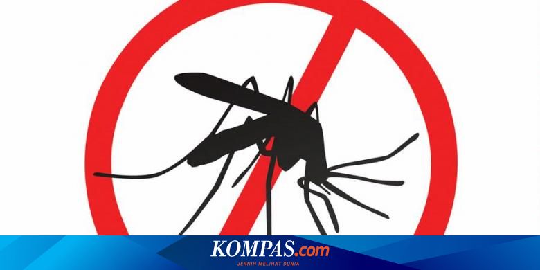 Gambar Vektor Nyamuk