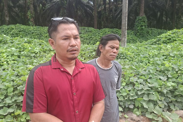 Warga Tuntut Transparansi, Penyitaan Lahan Sawit di Seruyan Diduga Caplok Kebun Warga