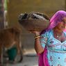 Pengadilan India: Rumah dari Kotoran Sapi Bisa Hindarkan Radiasi