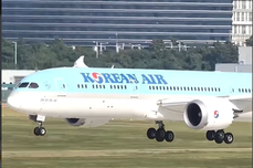 Kronologi Pesawat Korean Airlines Tujuan Taiwan Terjun Bebas 8.000 Meter