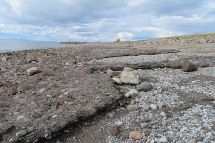 Pembentukan batuan yang dipercepat dan didorong oleh manusia terjadi di West Cumbria, Inggris.
